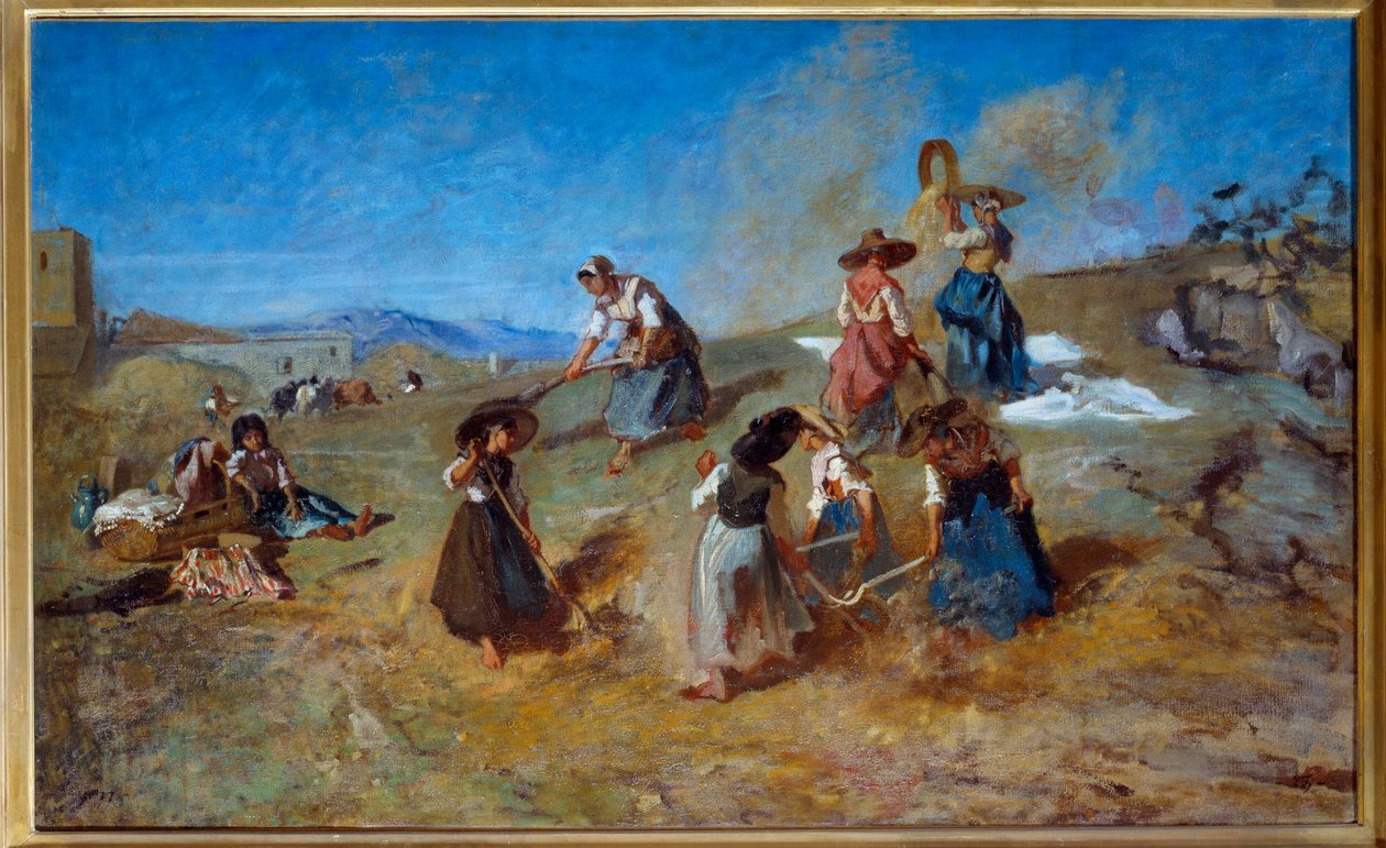 Eugene Fromentinin (1820-1876) sadonkorjuumaalaus 1875 su. 0,78x1,2 m Rouen, Musee des Beaux Arts tekijältä Eugène Fromentin