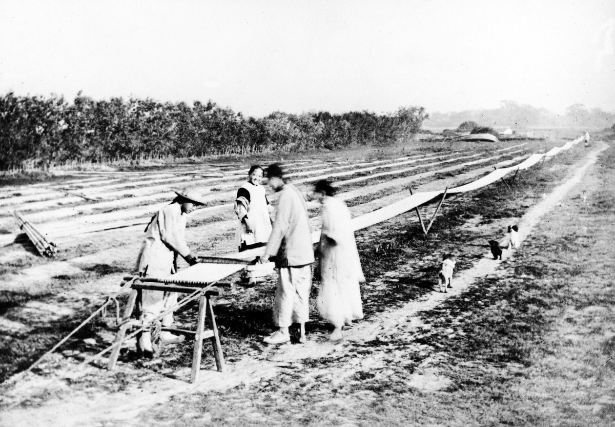 Kiinan Weavers, n. 1870-80 tekijältä European Photographer