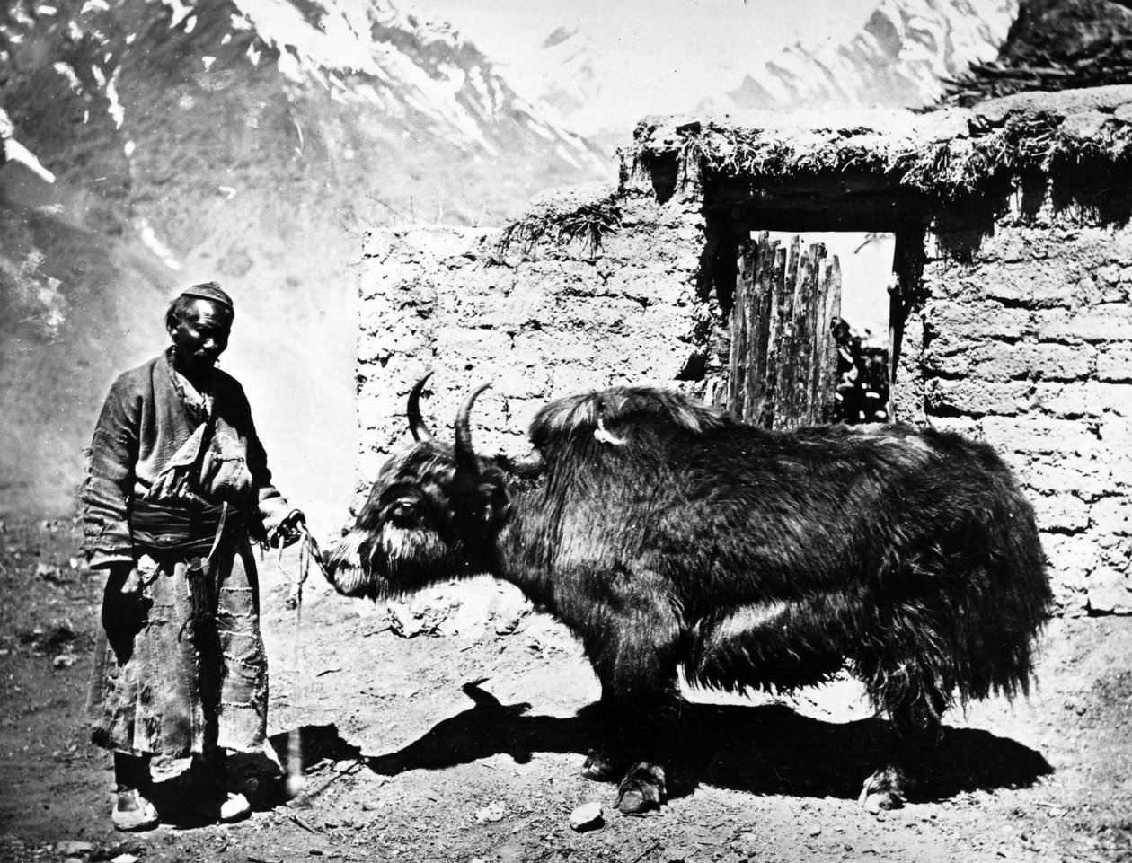 pumppaamaan jakkia, s. 1860-80 tekijältä European Photographer