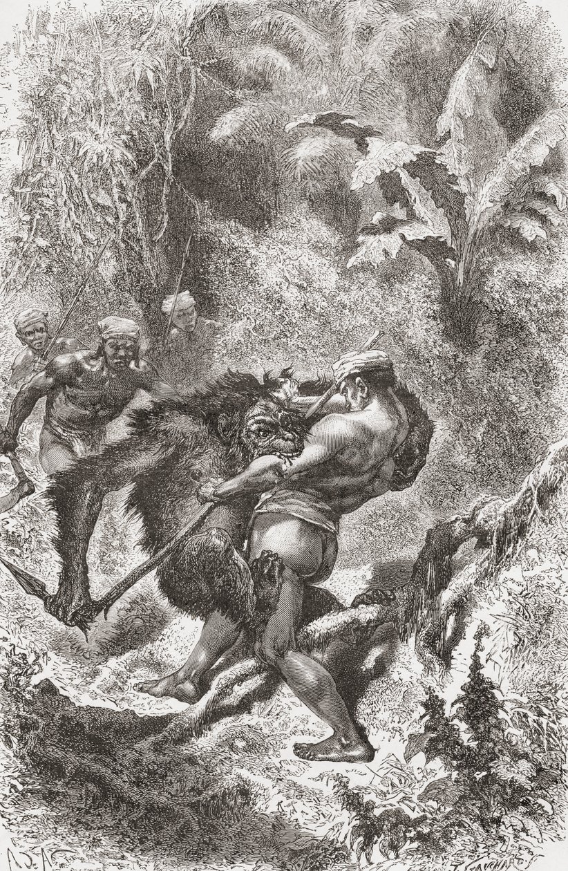 Borneolta kotoisin oleva Dayak taistelee orangutanin kanssa, "El Mundo en la Mano", julkaistu 1878 tekijältä European School