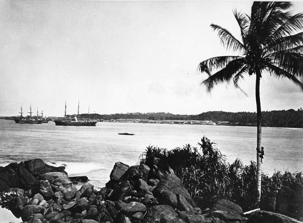 Colombon satama, n. 1860-80 tekijältä European Photographer