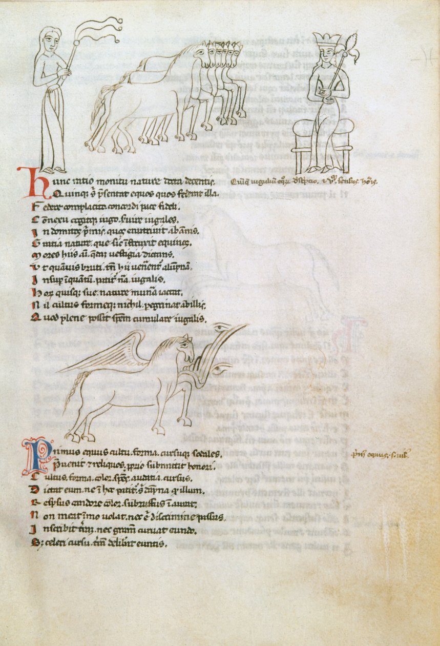 Bestiary: hevonen (muste perunapaperilla) tekijältä European School