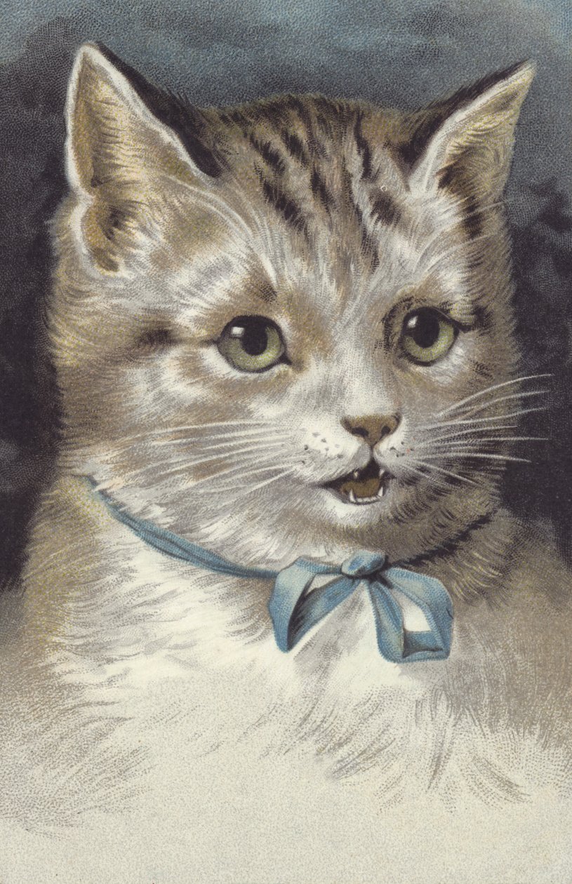 Kissa, jolla on sininen kaulus (chromolitho) tekijältä European School