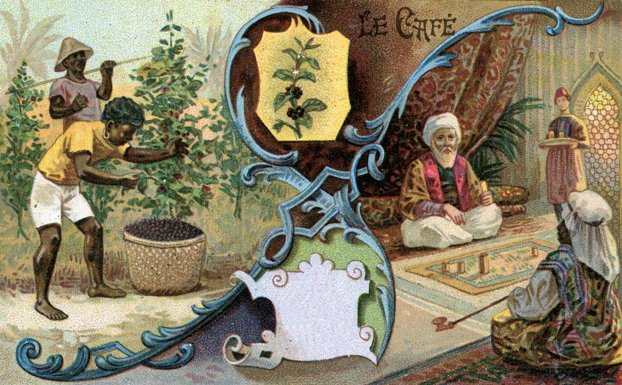 Kahvi, 1899 tekijältä European School