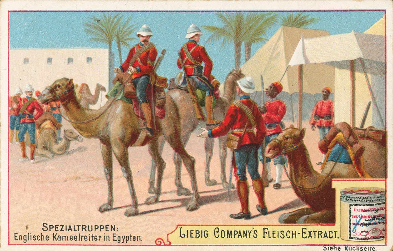 Englantilaisia sotilaita kameleilla, Liebig-kortti, 1900-luvun alku (kromo) tekijältä European School