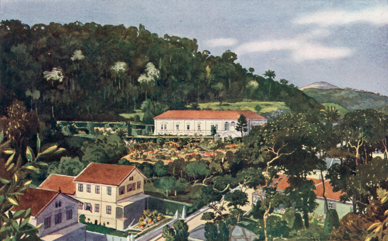 Hänen Brittiläisen Majesteettinsa lähetystö, Petropolis (värilitografia) tekijältä European School