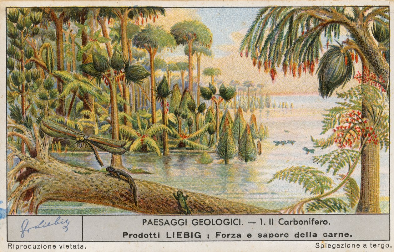 Esihistoriallinen maailma, Liebig-kortti, 1900-luvun alku (kromo) tekijältä European School