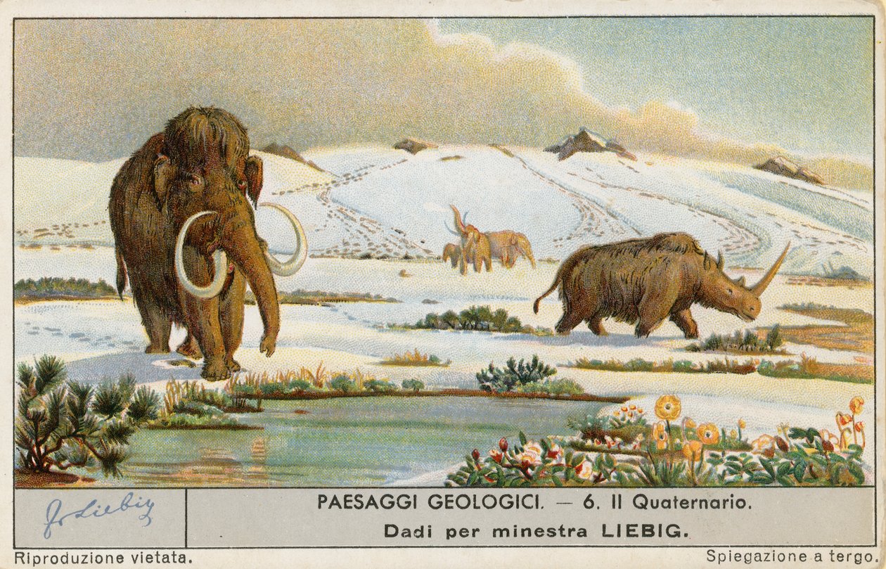 Esihistoriallinen maailma, Liebig-kortti, 1900-luvun alku (kromo) tekijältä European School
