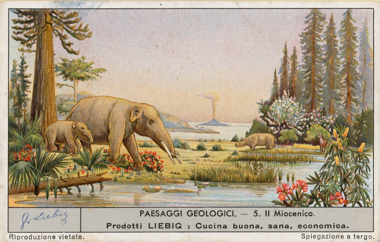 Esihistoriallinen maailma, Liebig-kortti, 1900-luvun alku (kromo) tekijältä European School