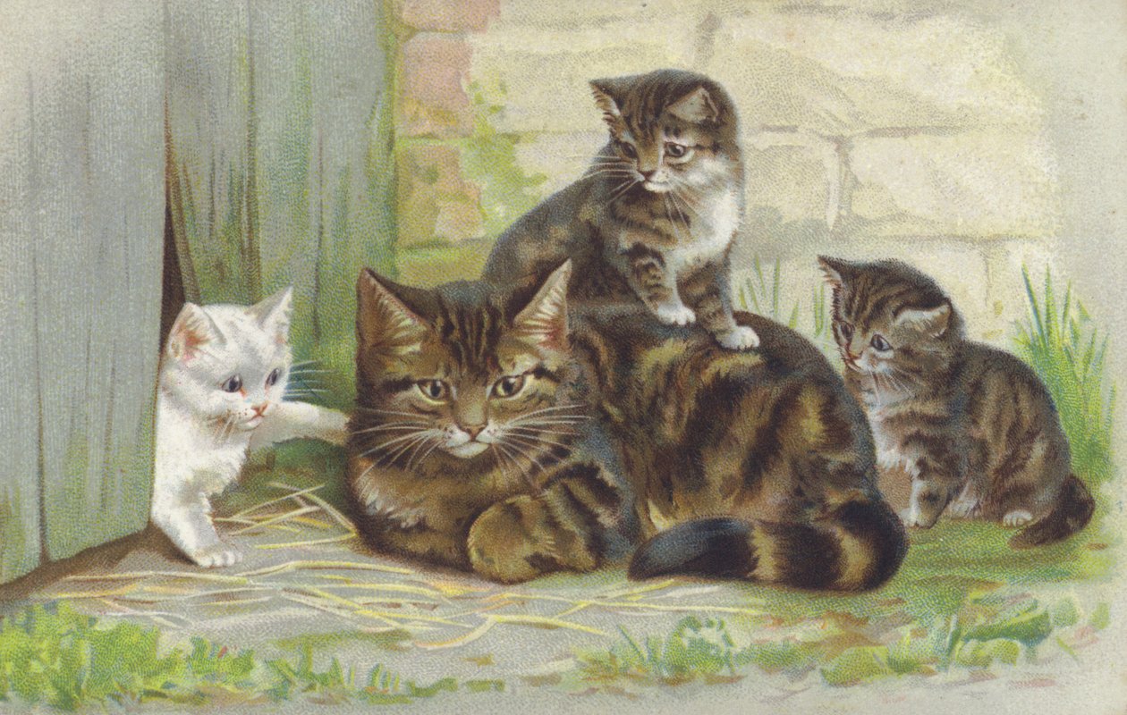 Tabby-kissa ja kolme pentua (chromolitho) tekijältä European School