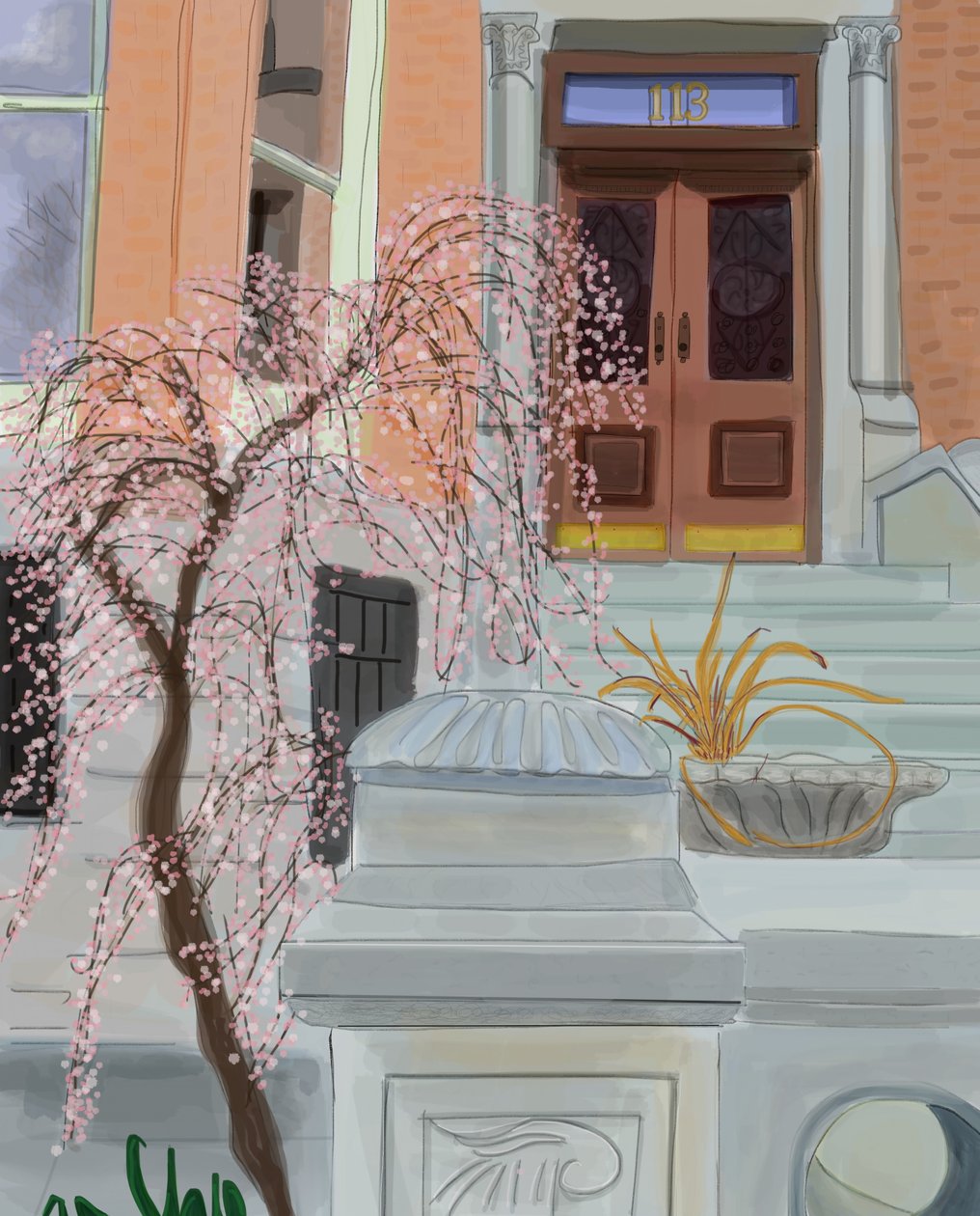 Blooming Cherry Tree, Brooklyn, 2017 (käsin piirretty iPadilla Apple-kynällä). tekijältä Evan Sklar