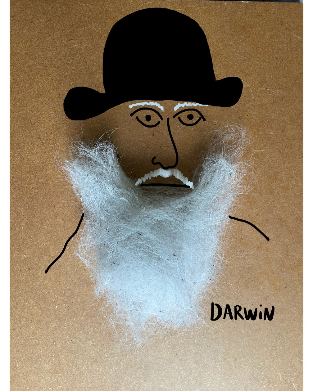 Charles Darwin tekijältä Evan Sklar