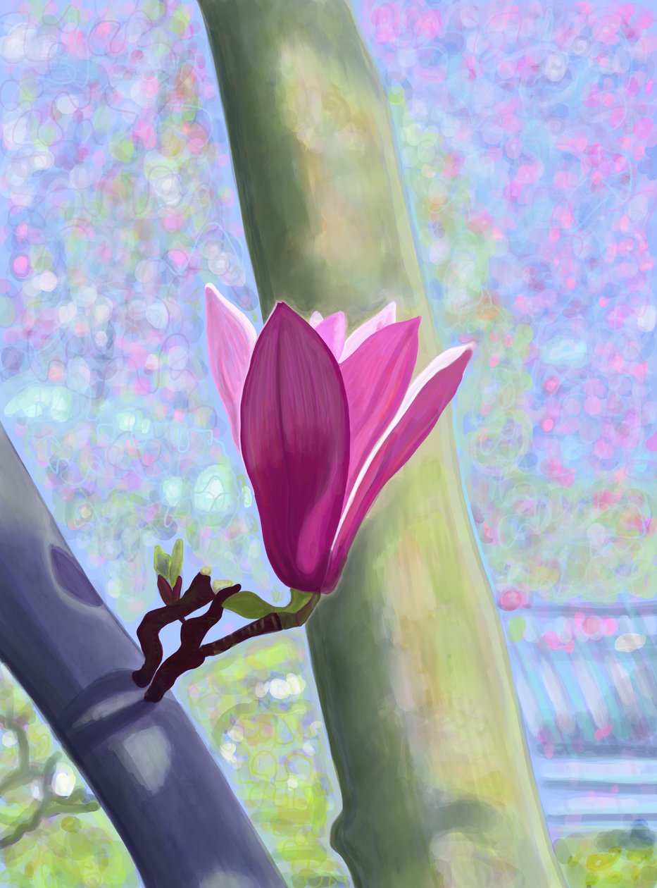 Magnolia Blossom (digitaalista taidetta) tekijältä Evan Sklar