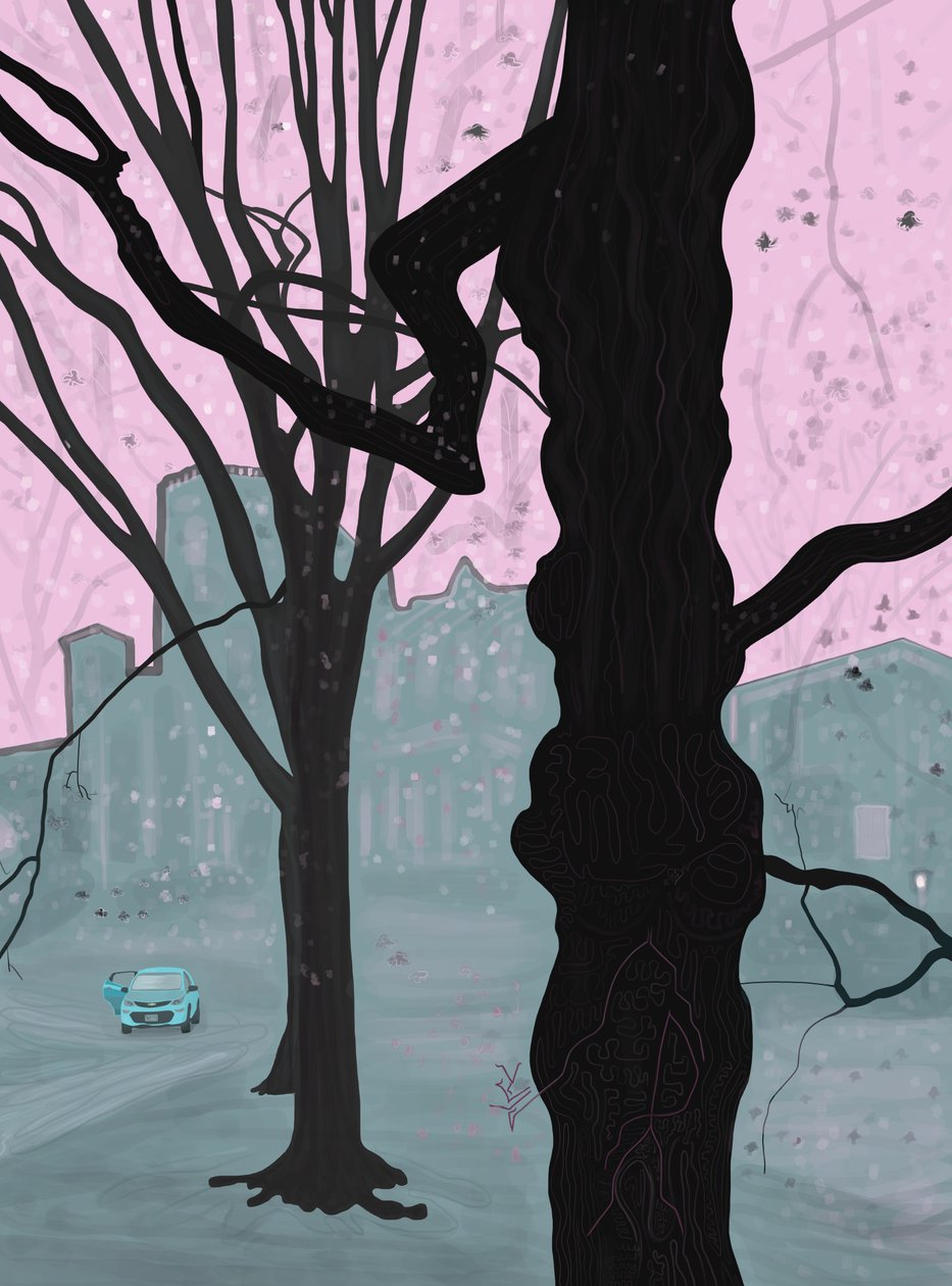 Vanha puu, vanha talo ja auto, Brooklyn (digitaalista taidetta) tekijältä Evan Sklar