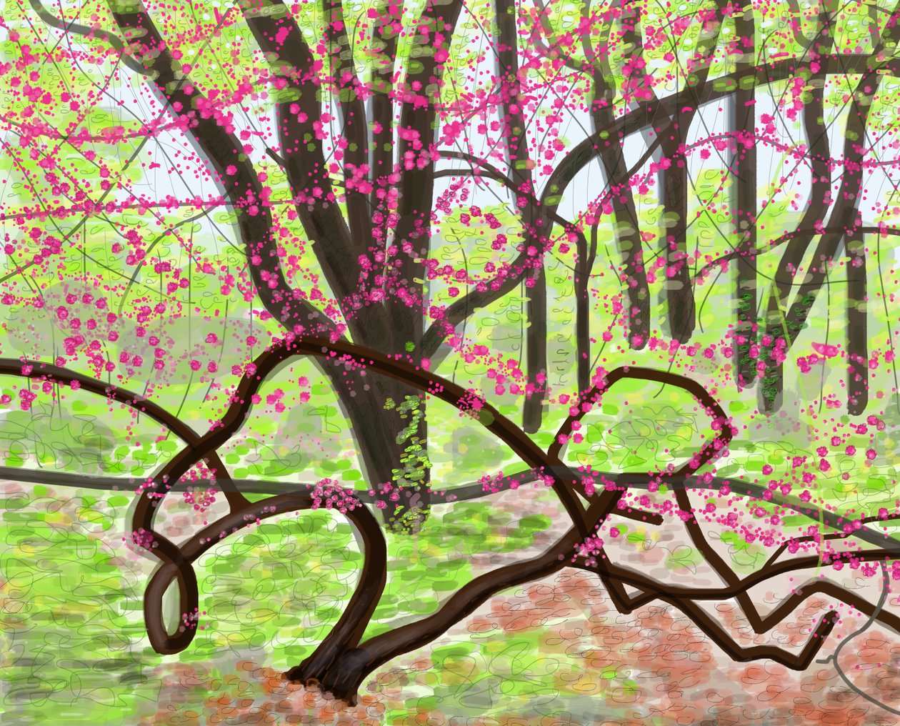 Prospect Park, kevät, 2017 (käsin piirretty iPadilla ja Apple-kynällä). tekijältä Evan Sklar