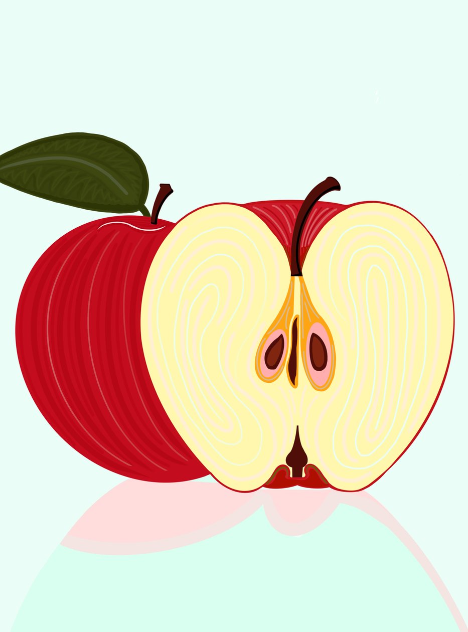 Sliced Apple Brooklyn (digitaalista taidetta) tekijältä Evan Sklar