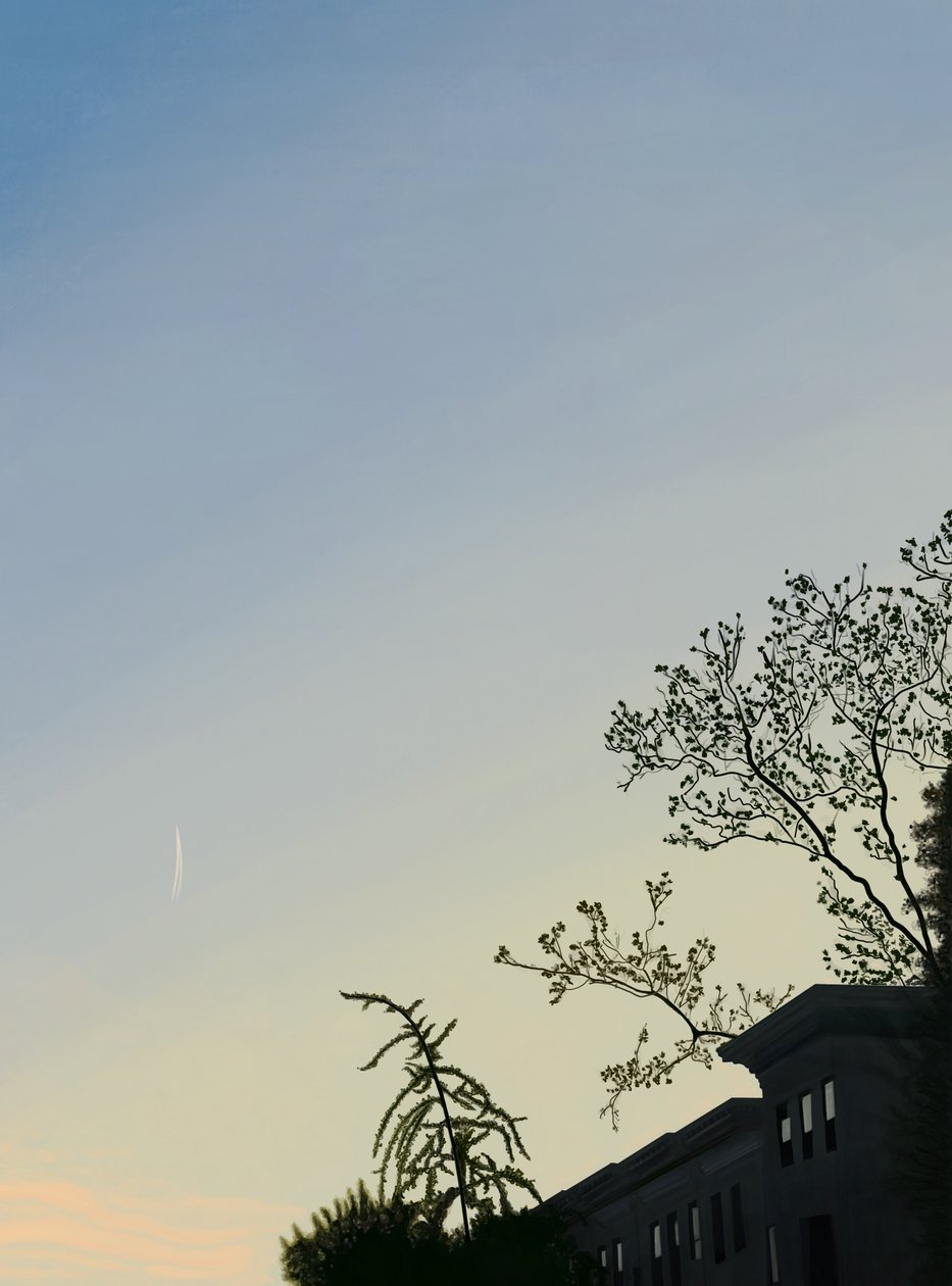 Small Contrail (digitaalista taidetta) tekijältä Evan Sklar