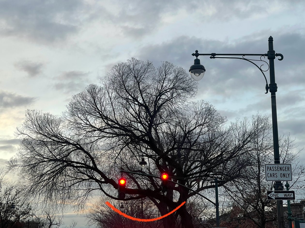Hymyilevä puu ja liikennevalot. Brooklyn (digitaalista taidetta) tekijältä Evan Sklar
