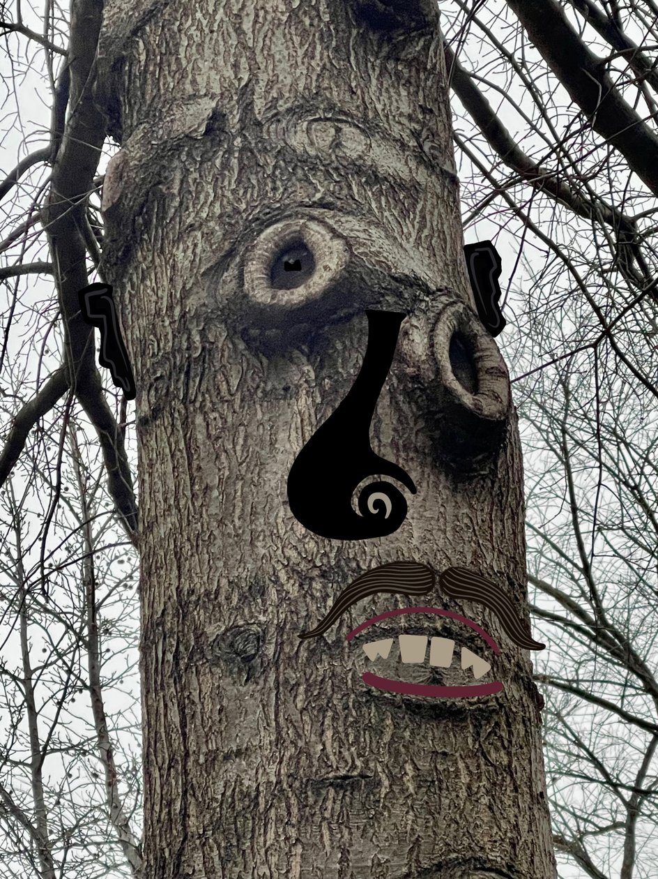 Tree Face , n.2020-24 (digitaalista taidetta) tekijältä Evan Sklar