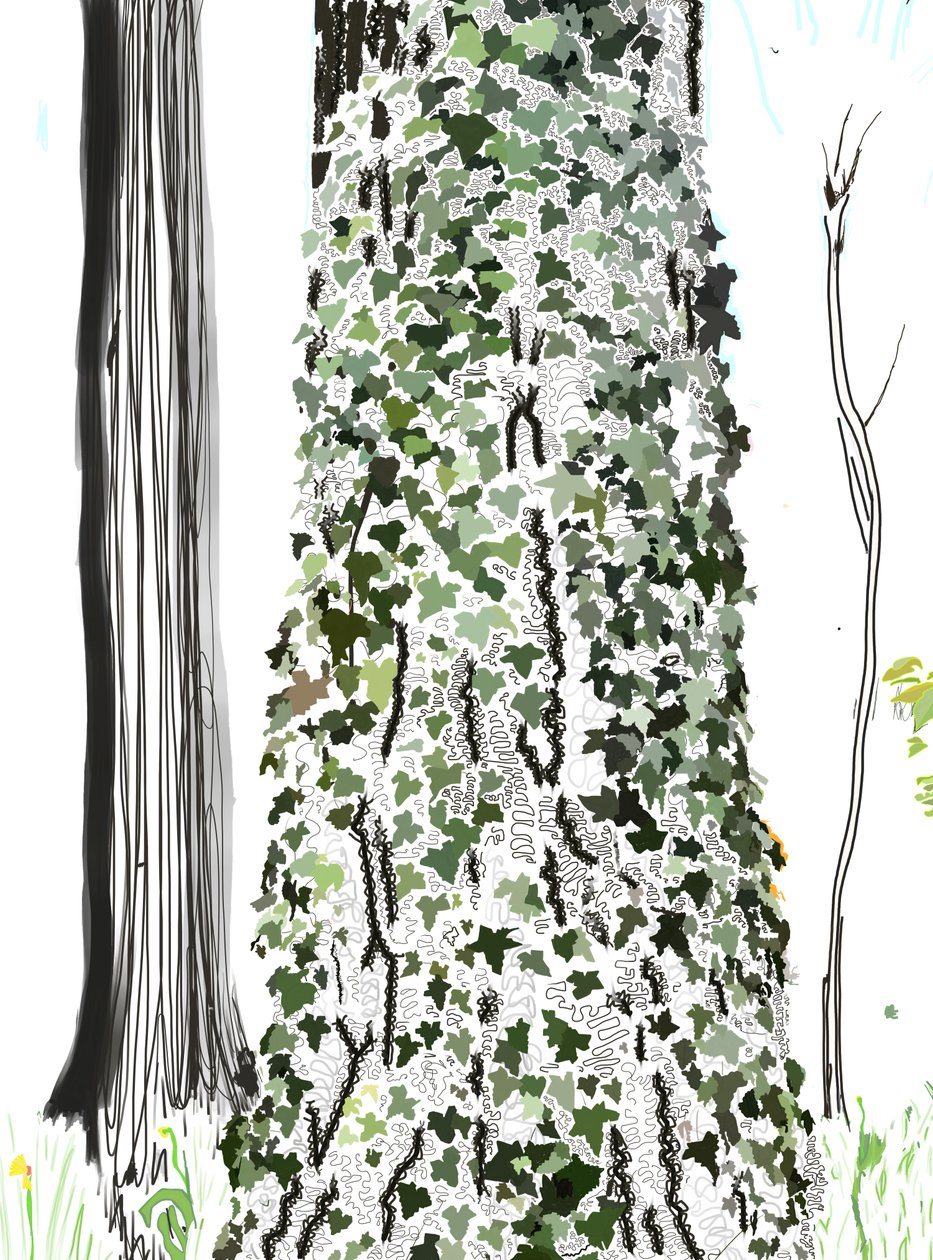 Tree With Ivy (digitaalista taidetta) tekijältä Evan Sklar