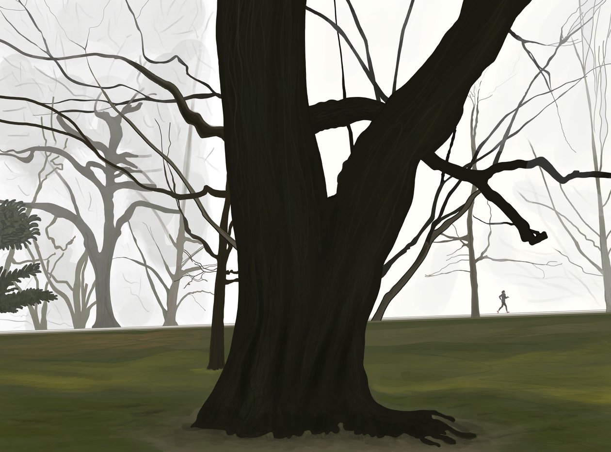 Puu ja lenkkeilijä. Varhainen aamu. Prospect park (digitaalista taidetta) tekijältä Evan Sklar
