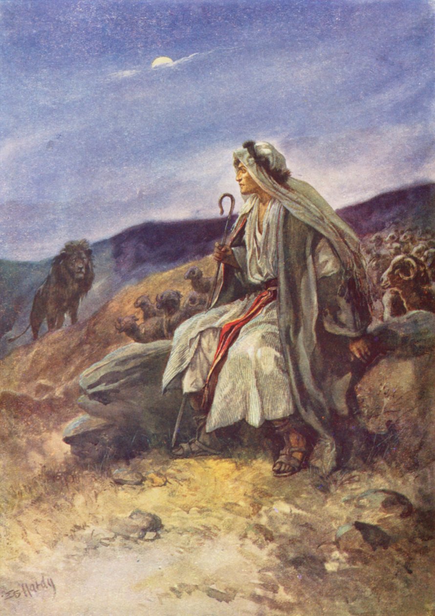  tekijältä Evelyn Stuart Hardy