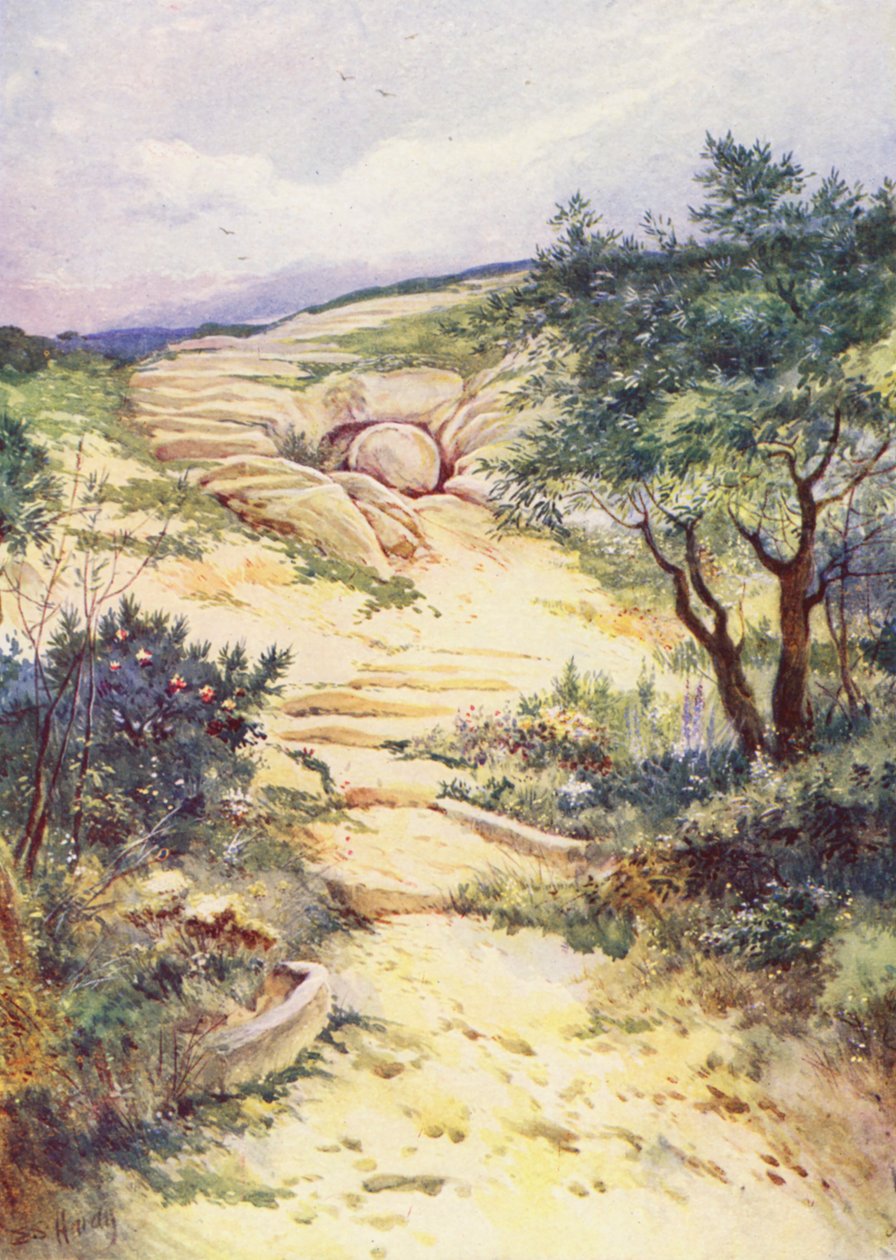  tekijältä Evelyn Stuart Hardy