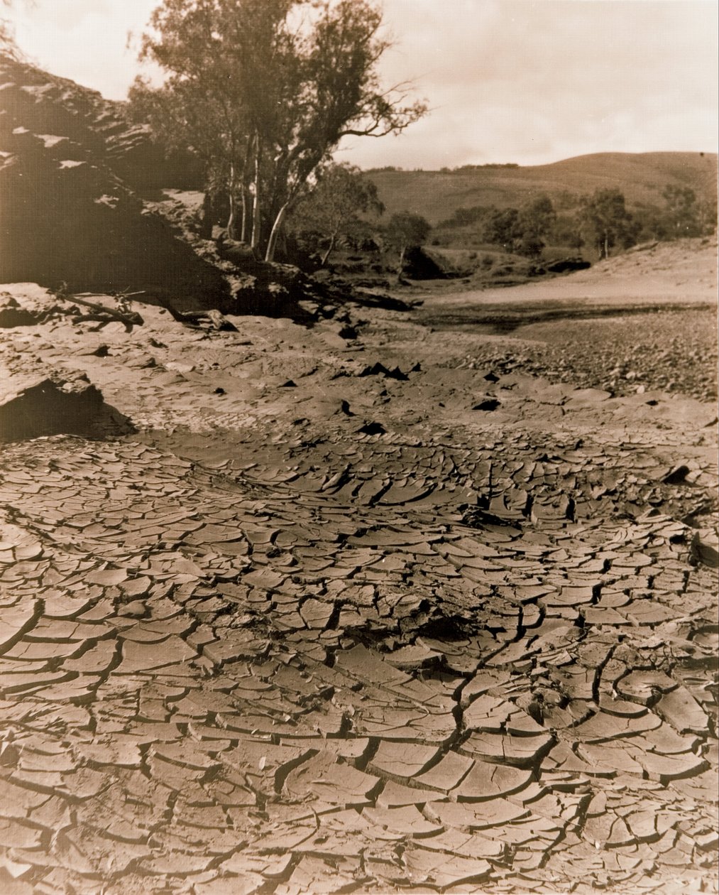 Kadonnut uima -allas, Flinders Ranges tekijältä F. A. Joyner