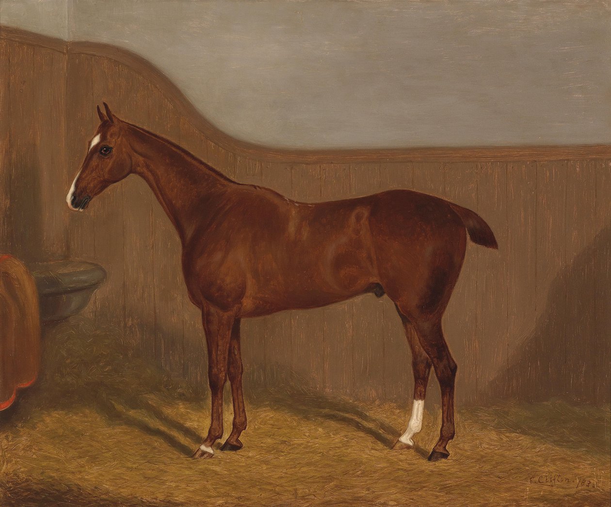 Pferdeportrait (Lady Oswestry tai Dandy ,, eines von zwei in einem Los angebotenen Gemälden mit diesen Bezeichnungen) tekijältä F. Clifton