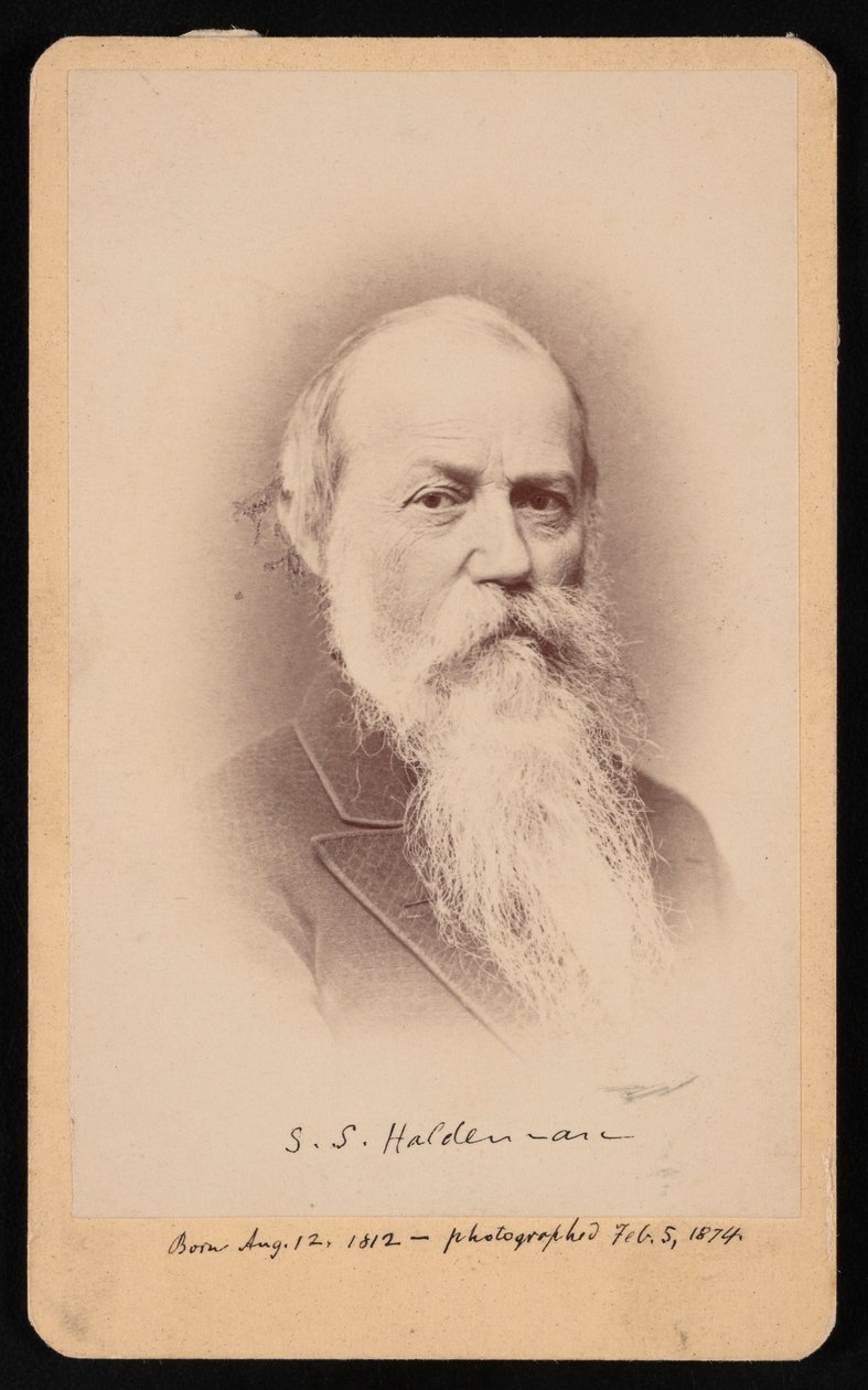Samuel Stehman Haldemanin muotokuva 1812-1880, 5. helmikuuta 1874. tekijältä FA Wenderoth and Co