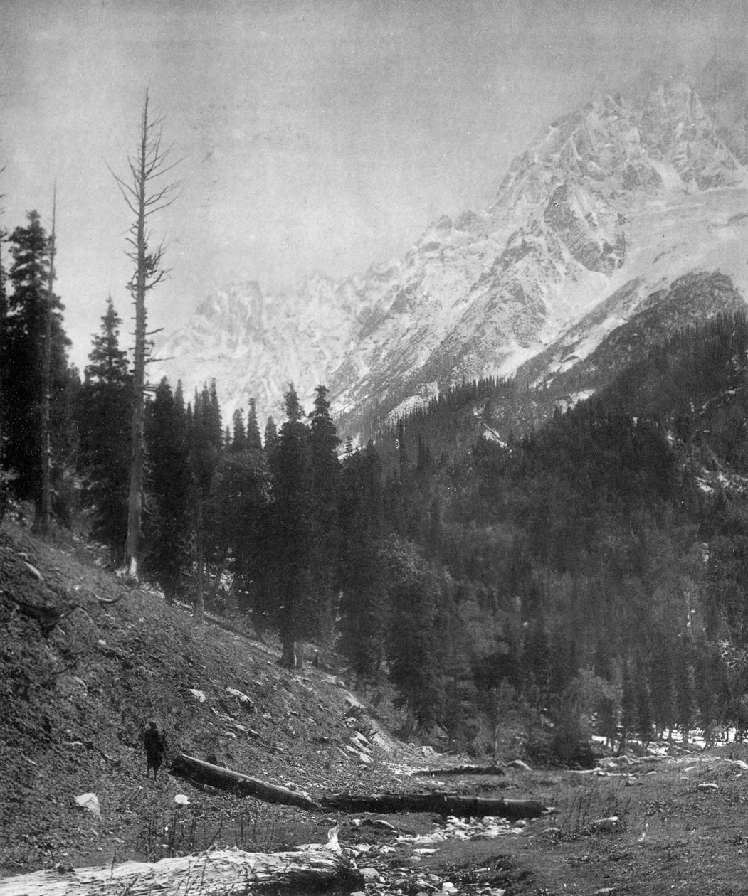 Sindh Valleyn jäätiköt, Kashmir, Intia, 1900-luvun alku tekijältä F. Bremner