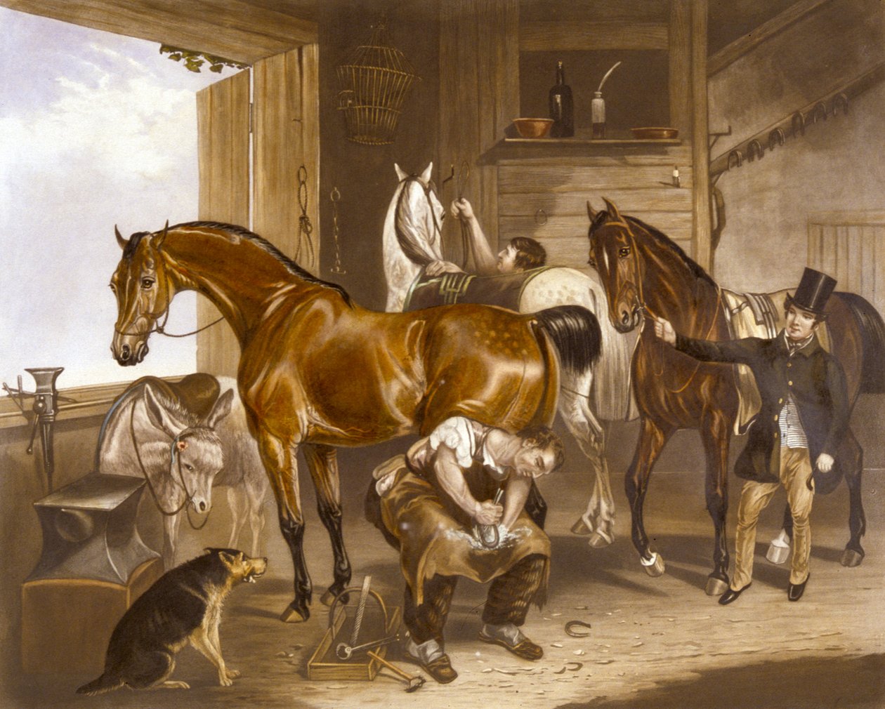 Eläinlääkäri, kaiverrus J. R. Mackrell (väri litho) tekijältä F. C. (after) Turner