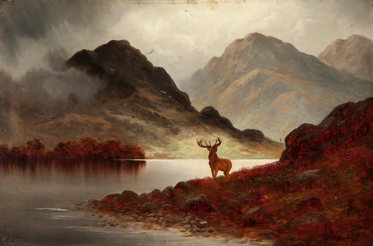 Stag at Bay (öljy kankaalle) tekijältä F. Carl