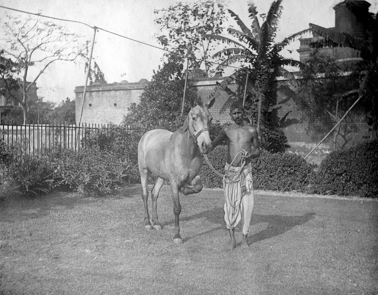 Mies hevosen kanssa, Alipore, Intia, 1905-1906 tekijältä F. L. Peters