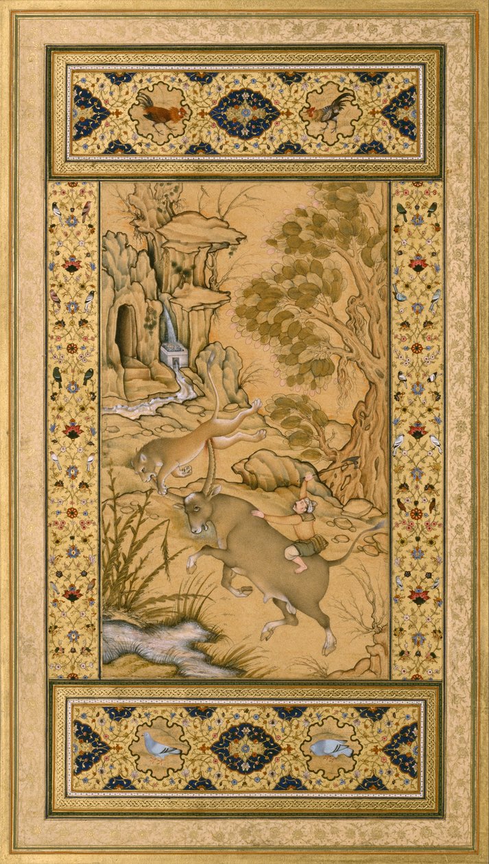 Lehti Muraqqa Gulshanista- Buffalo Fighting a Lioness (recto) Kalligrafia (verso) tekijältä Farrukh Chela