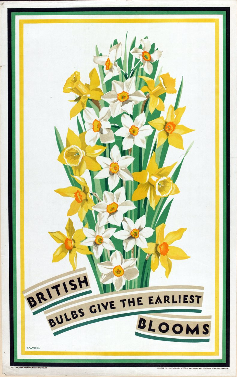 Brittiläiset sipulit kukkivat aikaisintaan sarjasta "British Bulbs for Home Gardens" (värilitho) tekijältä Fawkes Fawkes