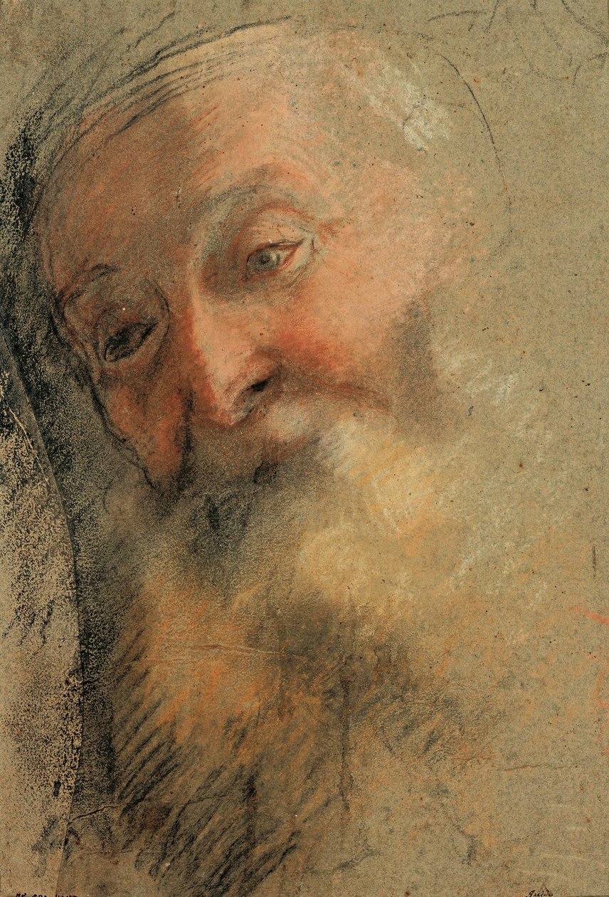 Vanhan parrakasmiehen pää, 1584-1586 tekijältä Federico Barocci