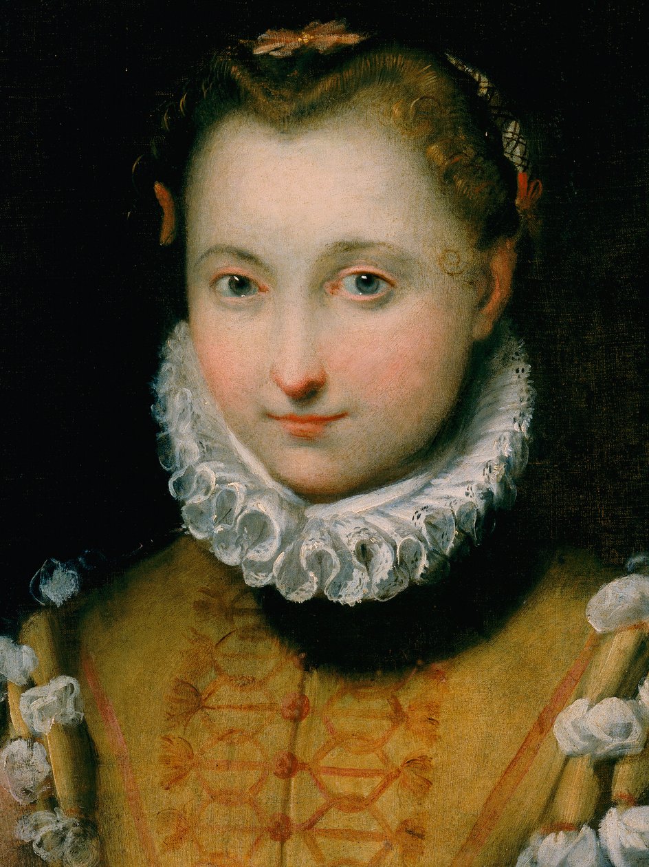 Nuoren naisen muotokuva tekijältä Federico Fiori Barocci or Baroccio