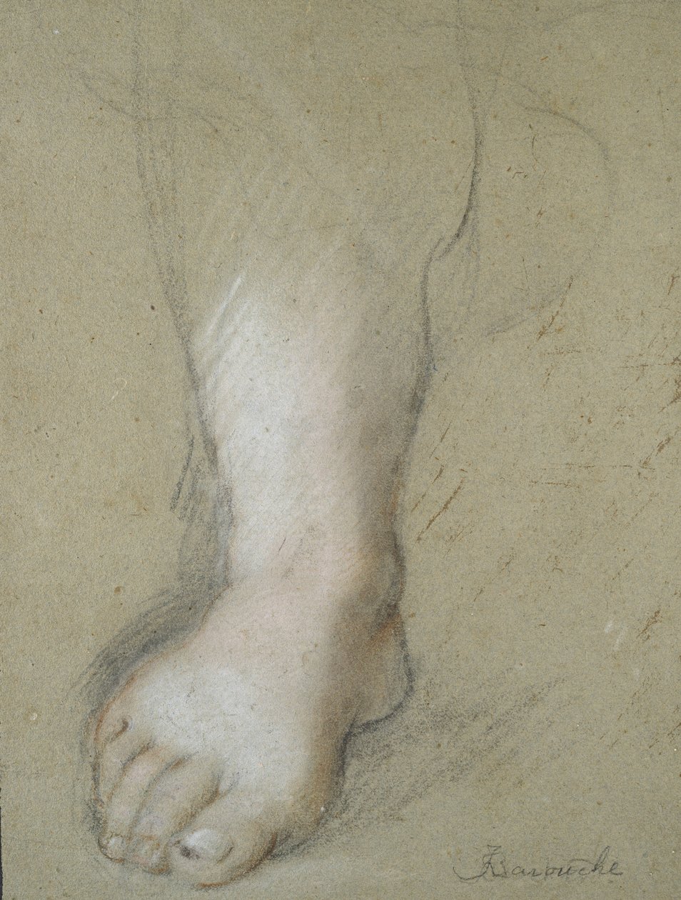 Jalkatutkimus (musta, punainen, vaaleanpunainen ja valkoinen liitu harmahtavalla paperilla) tekijältä Federico Barocci