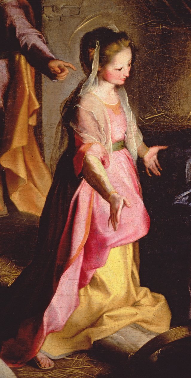Lapsen palvonta, 1597 (yksityiskohta 38616) tekijältä Federico Barocci