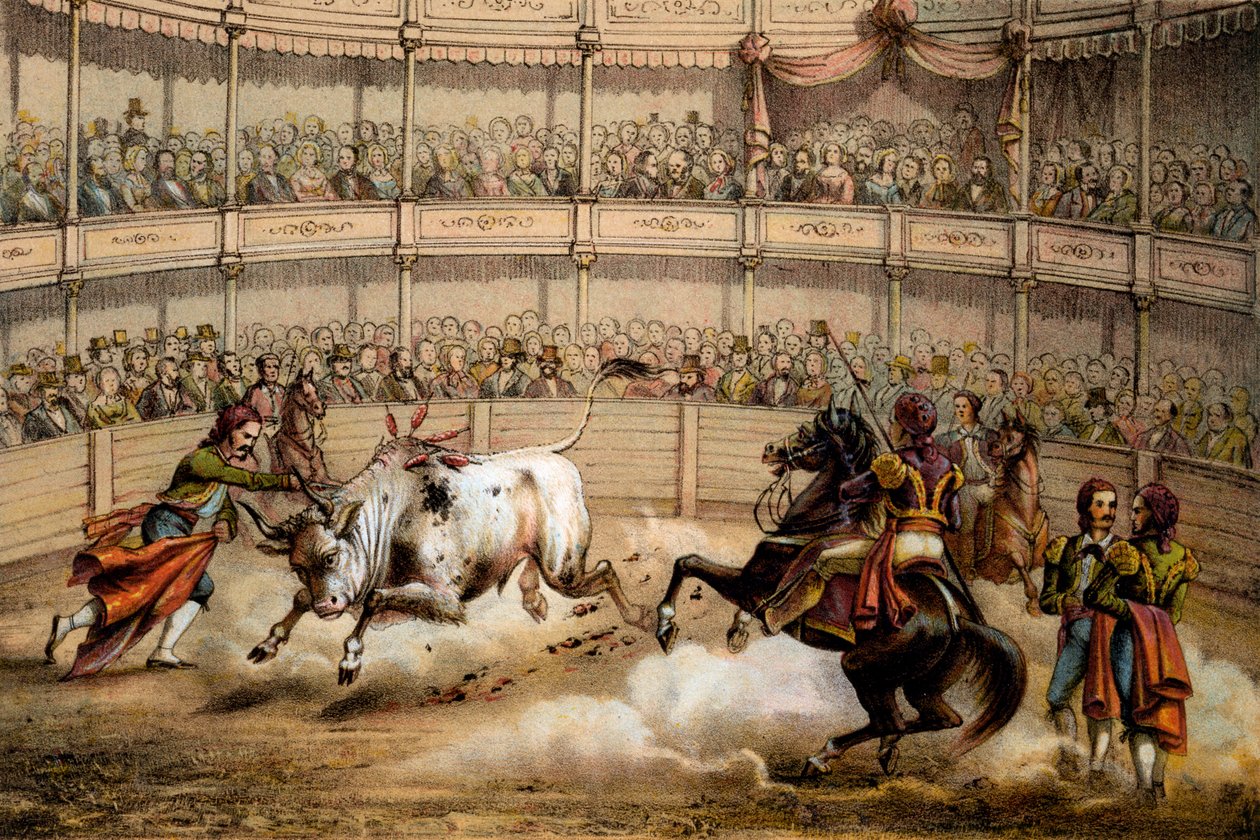 Härkätaistelu, 1840 tekijältä Federico Mialhe