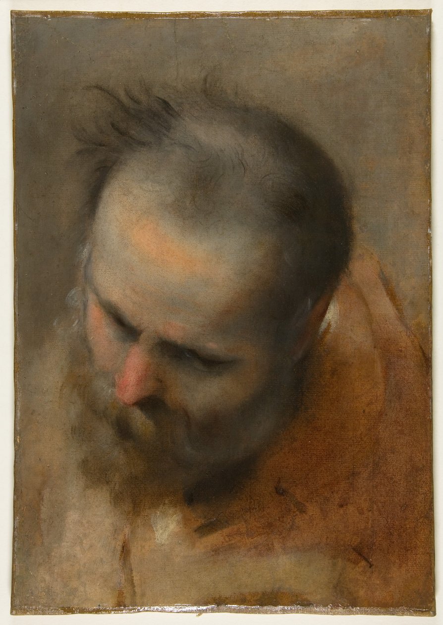 Parrakas miehen pää, joka katsoo vasempaan alakulmaan (Nikodemos) tekijältä Federico Barocci