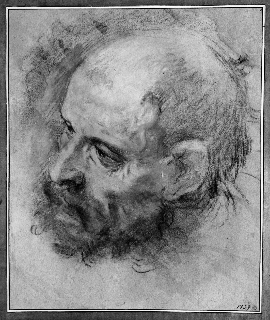 Parrakkaan miehen pää vasemmalle kääntyneenä ja sivulle kallistuneena tekijältä Federico Barocci
