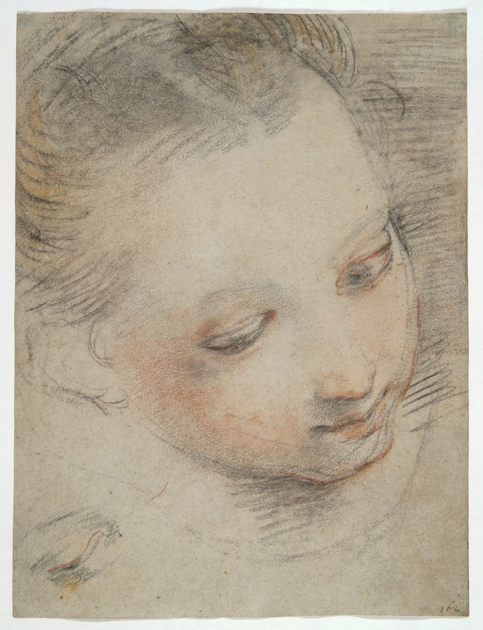 Tytön pää, tutki hahmoa Madonna del Popolon alttaritaulussa Uffizissa tekijältä Federico Barocci