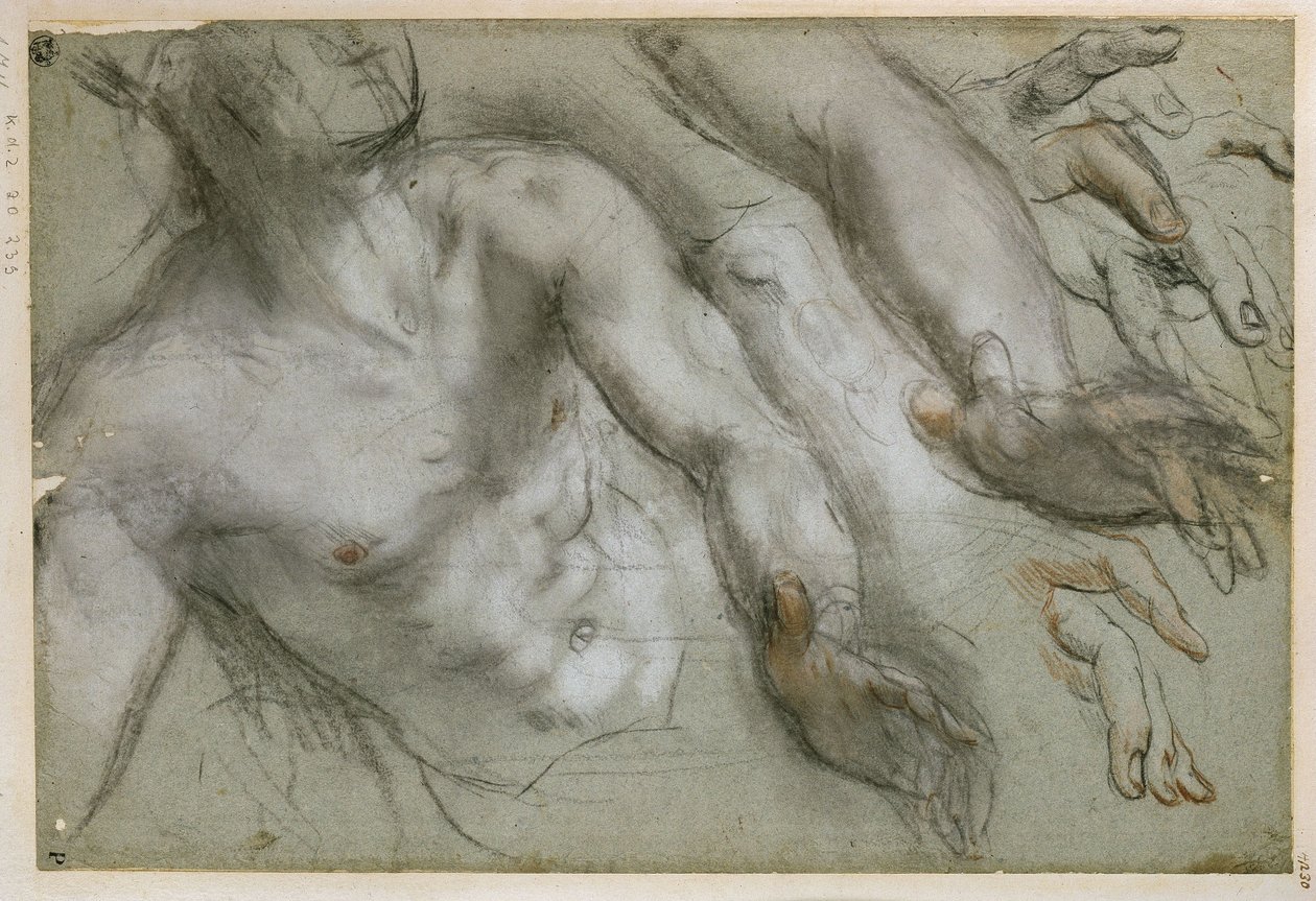 Tutkielma pyhimyksen hahmoa varten maalaukseen "Pyhän Vitaliksen marttyyrikuolema" tekijältä Federico Barocci