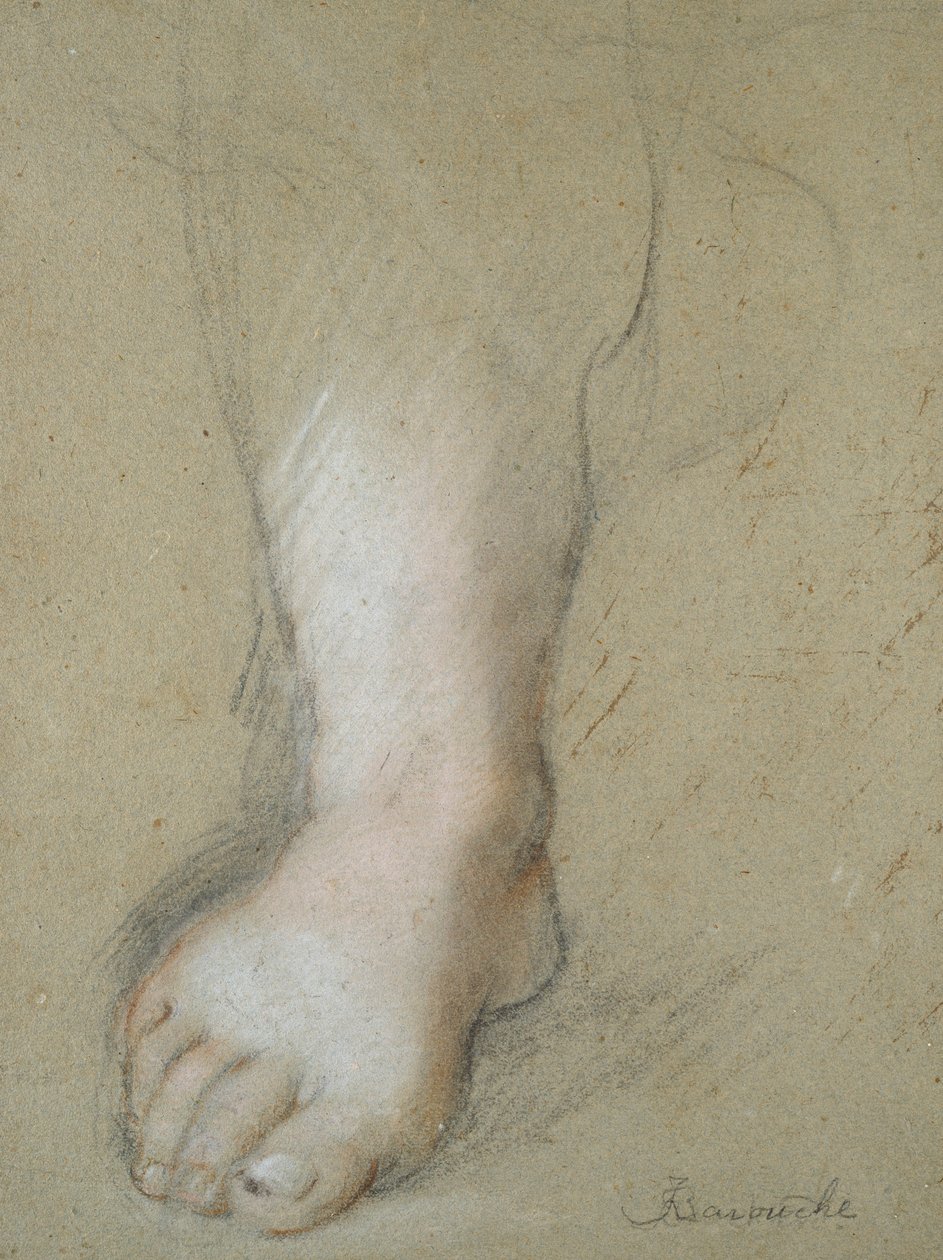 Jalkatutkimus, 1500-luvun loppu tekijältä Federico Barocci