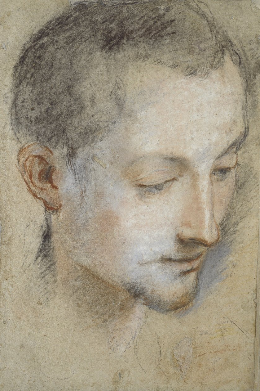 Tutkimus nuoren miehen päästä (musta, punainen ja vaaleanpunainen liitu harmahtavalla paperilla) tekijältä Federico Barocci