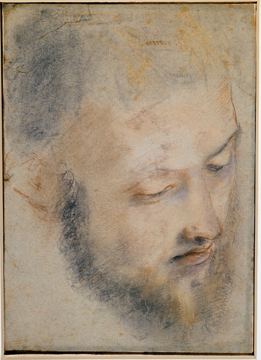 Baroccin tutkimus pään piirtämisestä tekijältä Federico Barocci