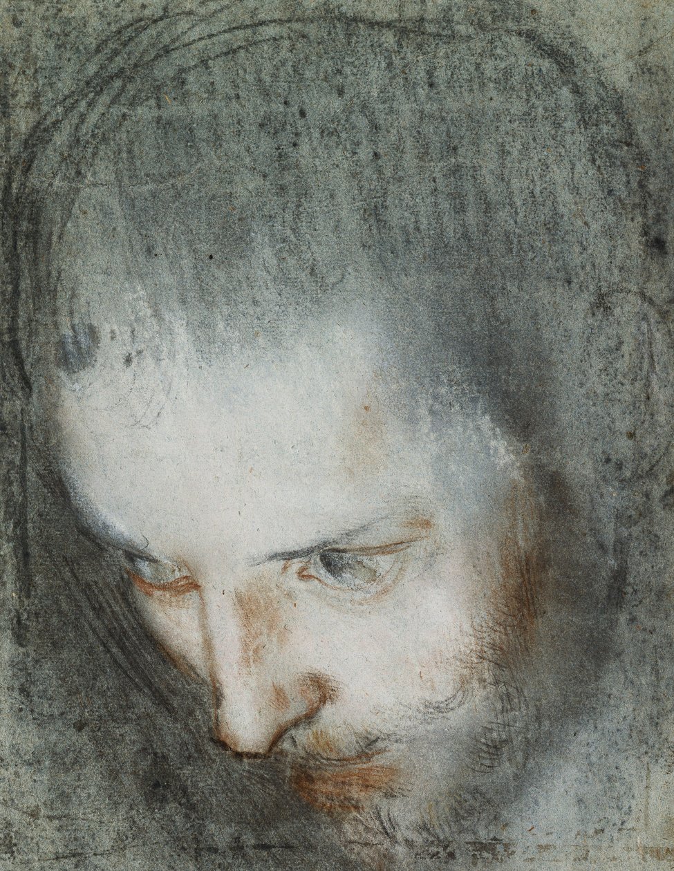 Pyhän Franciscuksen pää, joka katsoo ylöspäin vasemmalle, tekijältä Federico Fiori Barocci or Baroccio