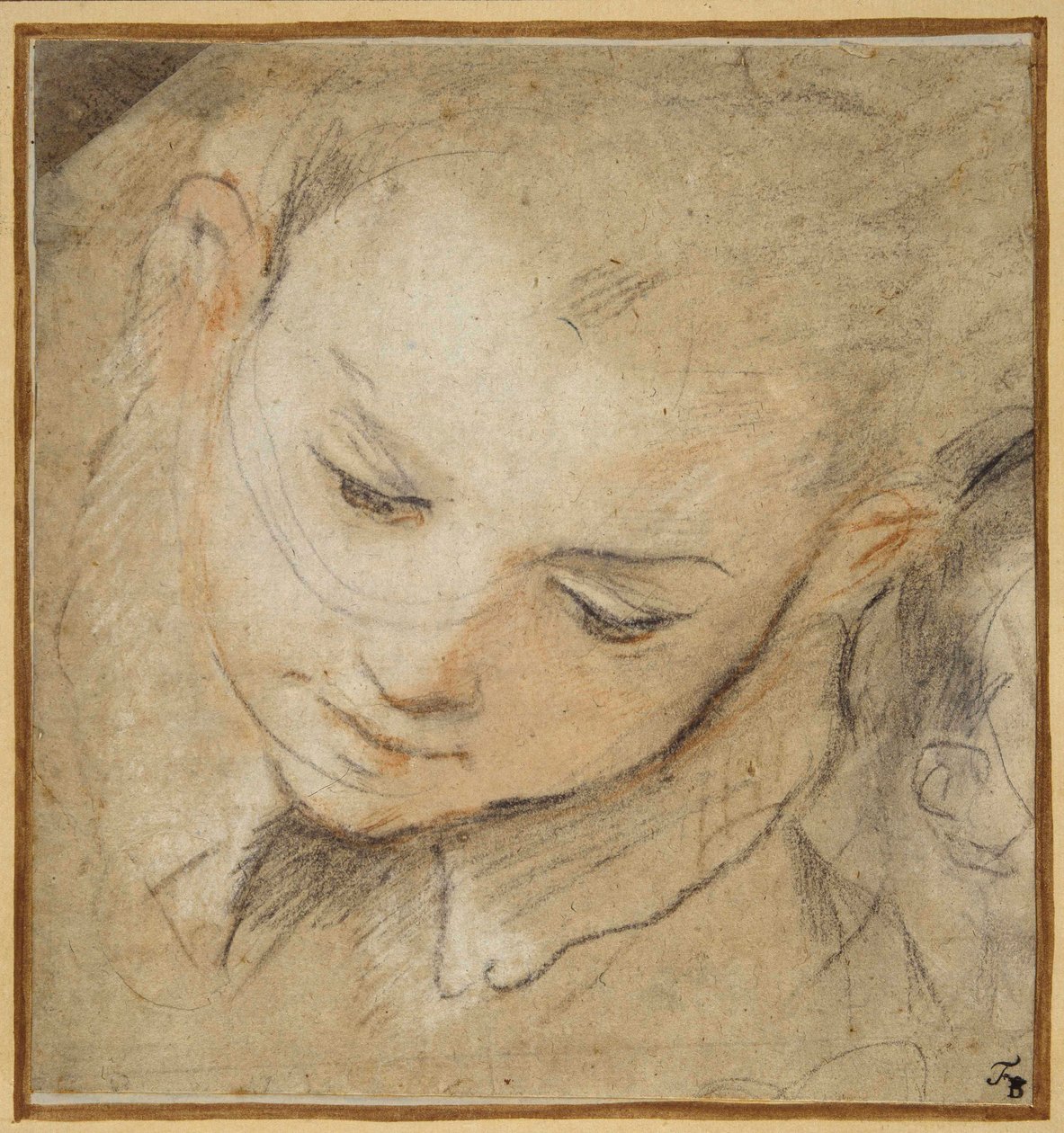 Pojan pää, joka katsoo alas tekijältä Federico Fiori Barocci or Baroccio